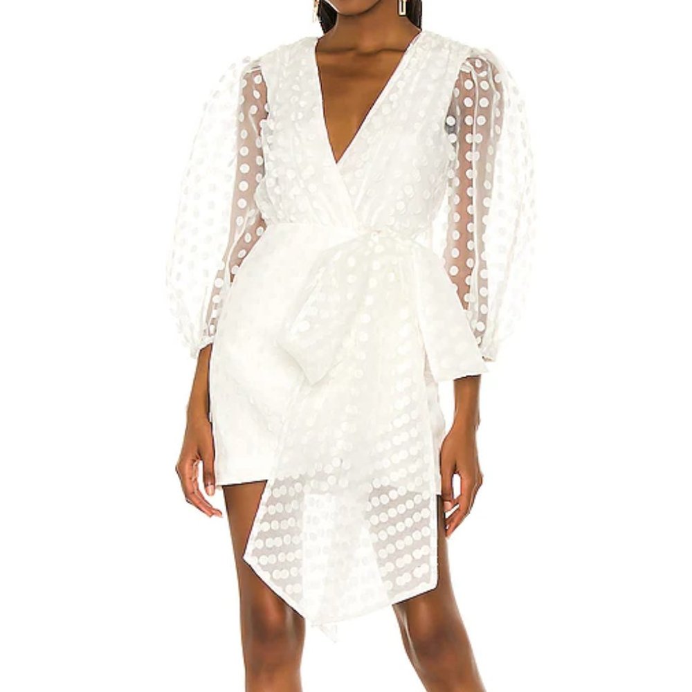 Alize Mini Dress- Lovers and Friends